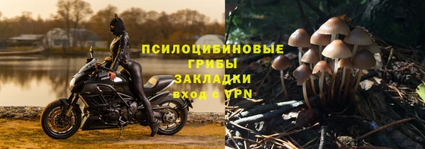 spice Армянск