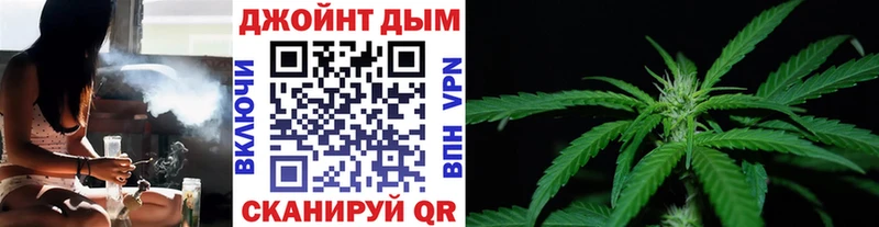 где найти   Асино  Бошки марихуана VHQ 